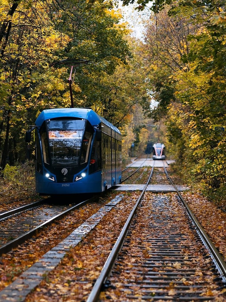 ��� �� ������� ������ � ������! ����: ksarzie