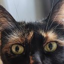 ���� Alex, ����, 50 ��� - ��������� 16 ������ 2025 � ������ ������ ��������