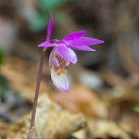 ���� ������, �������, 54 ���� - ��������� 18 ������ 2025 � ������ ����������� ������