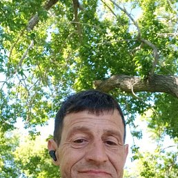 , 45, 