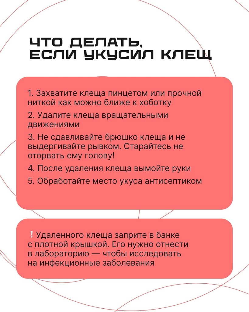        .   ,   ... - 4