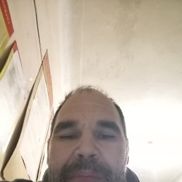 ���� �������, ���������, 43 ���� - ��������� 24 ������� 2024