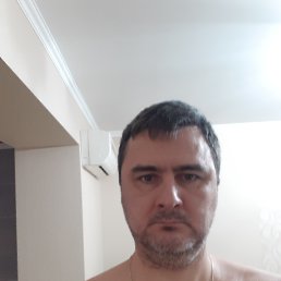 , 44, 