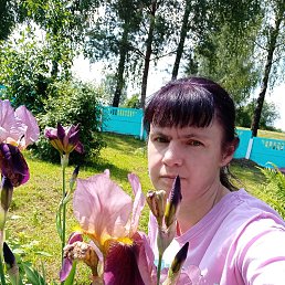 , 40, 