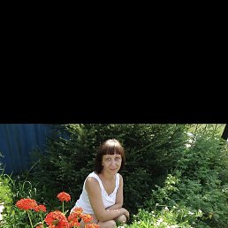 �����, ������