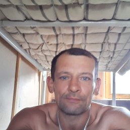 , 40, 