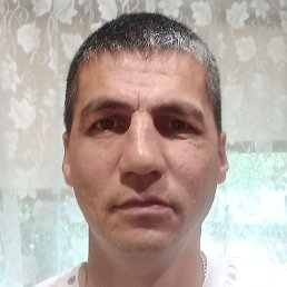 �������, ���������, 44 ����