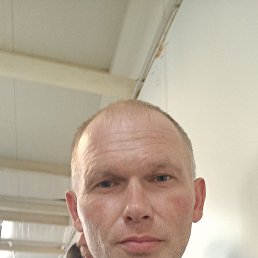 ��������, 41 ���, ����������