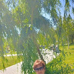 �������, ���������, 59 ���