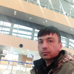 �����, 36 ���, ����