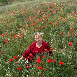 (((ALLOCHKA))), 61, 