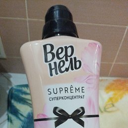 ���� ������� �����, ������, 43 ���� - ��������� 13 ������� 2024