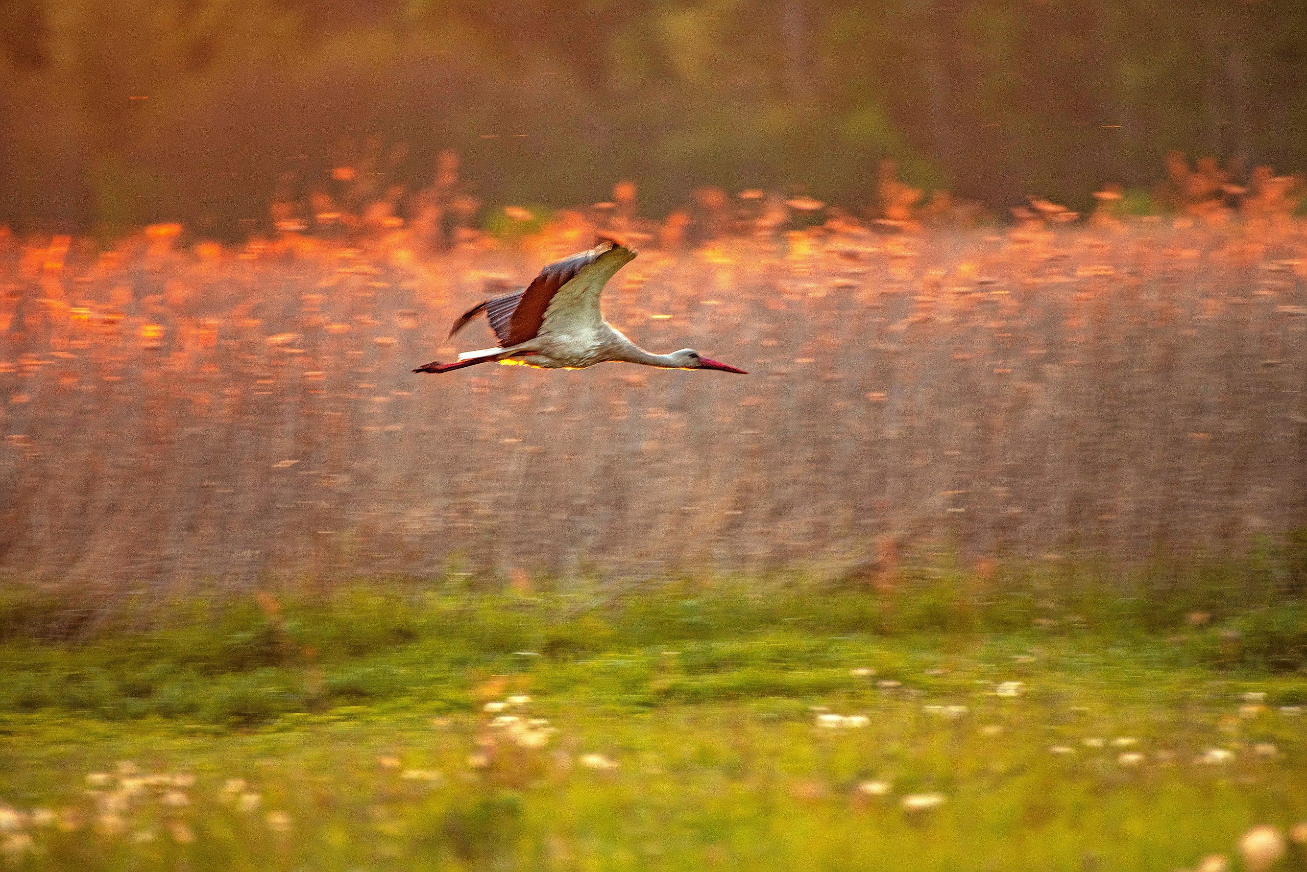  - 18  2025  23:41 - 10