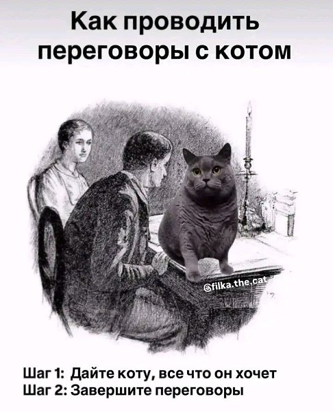 ������������� ���� - 13 ����� 2026 � 23:01