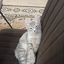 ���� �����, ������, 20 ��� - ��������� 8 ����� 2024 � ������ ���� ����������