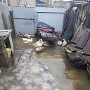 ���� �����, ������, 42 ���� - ��������� 21 ������� 2023 � ������ ���� ����������
