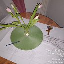 ���� Che, ����, 103 ���� - ��������� 7 ����� 2025 � ������ ���� ����������