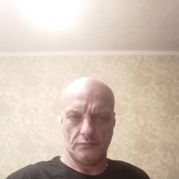 , 44, 