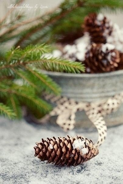 ����� � ������ - 3 ������ 2026 � 22:23 - 3