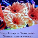 ���� ������, �������� - ��������� 13 ������� 2024 � ������ ���� ����������