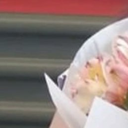 ��������, ���������, 41 ���