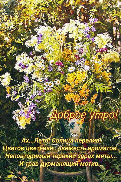28 июня. Суббота. ДОРОЕ УТРО! Легкого дня и отличных выходных!