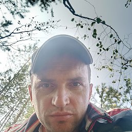 , 41, 