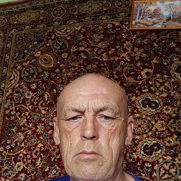 , 56 , 