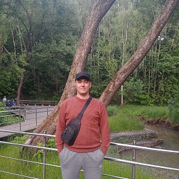 , 34, 