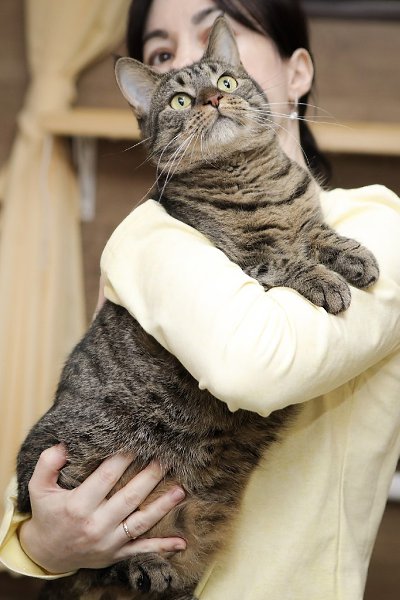 �����-���������.� ������ ����� ����� �������������� ���������!��������� ���������� ��������� ����. ... - 10