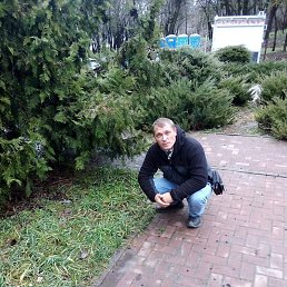 ����, ������, 40 ���