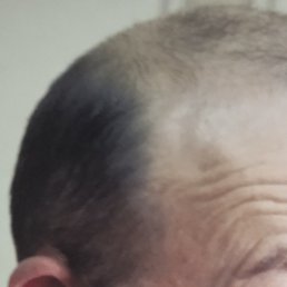 ����, ������, 56 ���