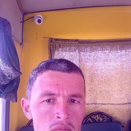 , 36, 