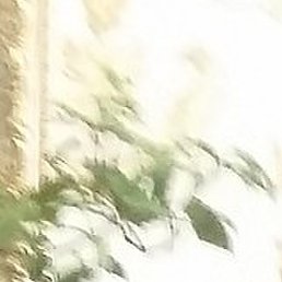 Gena, ������, 71 ���