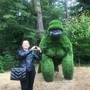 ���� ����, ����������� - ��������� 3 ����� 2024 � ������ ���� ����������