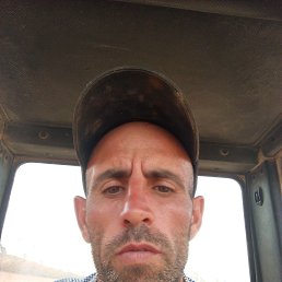 , 37, 