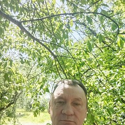 �������� �������, 58 ���, ���������