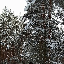 ���� �������, ��������, 48 ��� - ��������� 9 ����� 2026