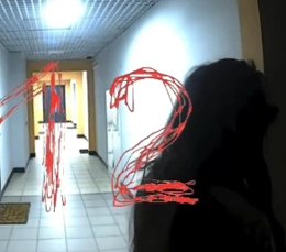 �����������