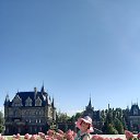 ���� ����, �������� - ��������� 25 ������ 2024 � ������ ���� ����������