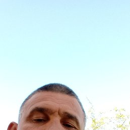 , 40, 