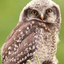 ���� �, ���������, 46 ��� - ��������� 13 ������� 2023 � ������ ���� ����������