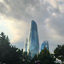  , , 49  -  15  2024    