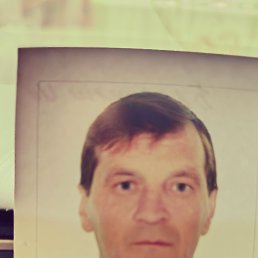 , 52, 