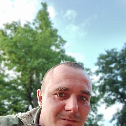 , 29, 
