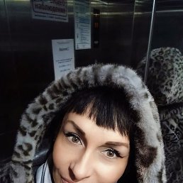 �����, ��������, 47 ���