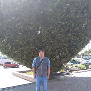 , 47 , 