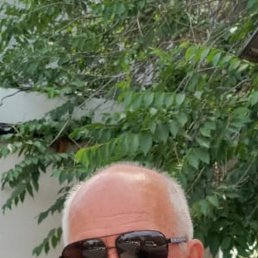 , 65, 