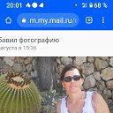 ���� ������, ����������, 54 ���� - ��������� 13 ������ 2024 � ������ ���� ����������