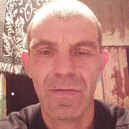 �����, ������, 40 ���